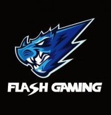 Flash Gaming_1